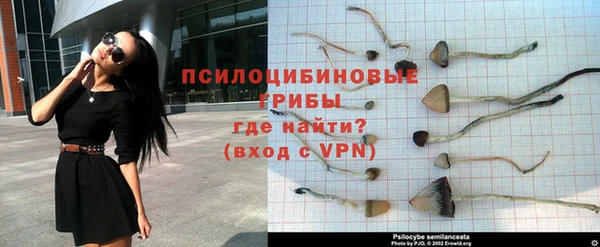 крисы Балахна