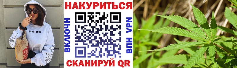 Бошки Шишки конопля Салаир